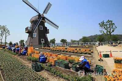 順天灣園藝博覽會重新布置迎接夏天